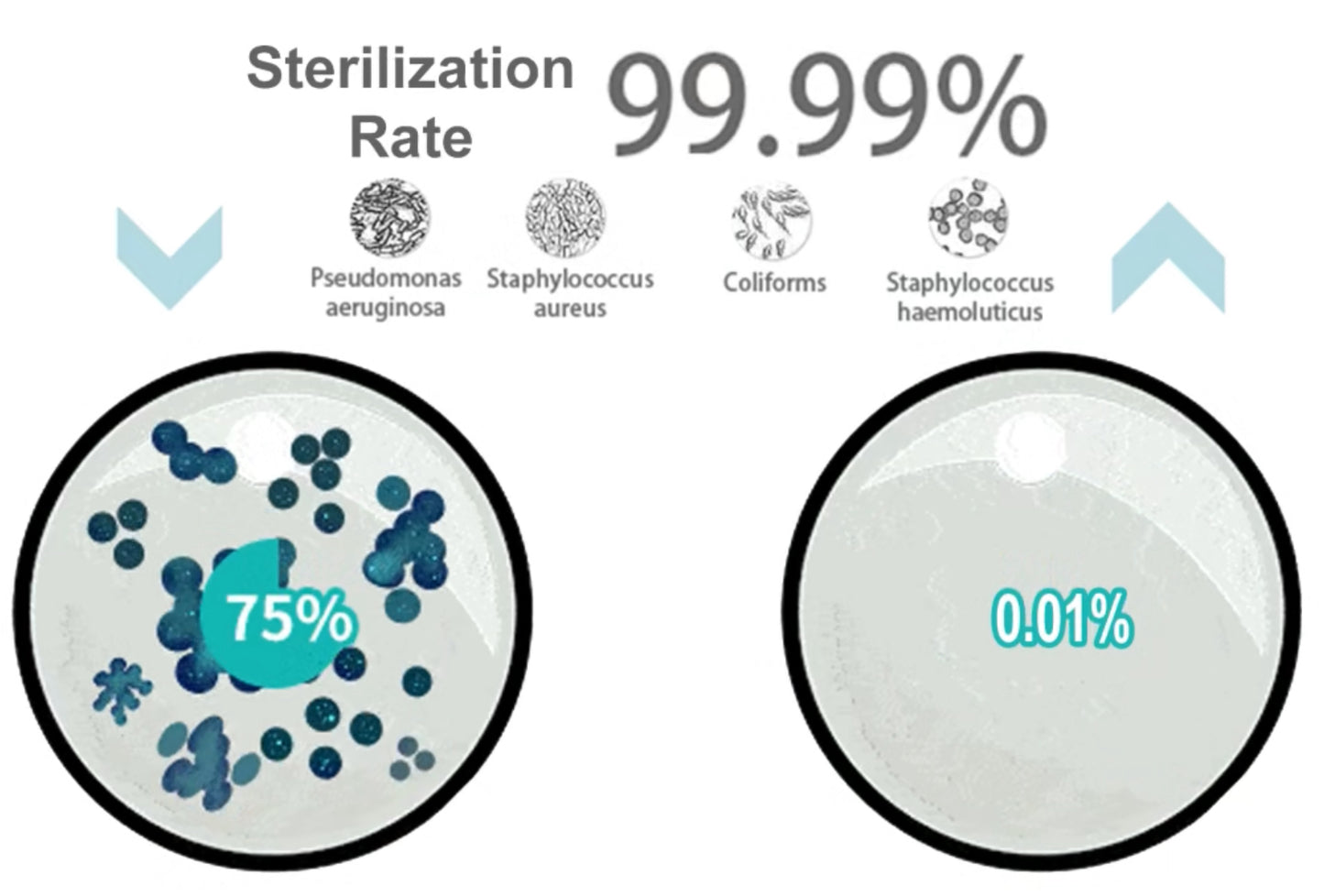 UV Toothbrush Steriliser