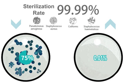 UV Toothbrush Steriliser